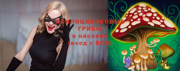 бутират Арсеньев