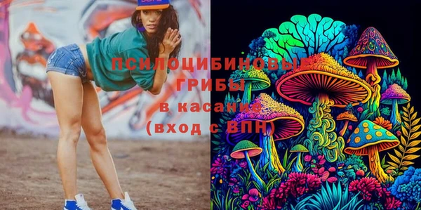 бутират Арсеньев