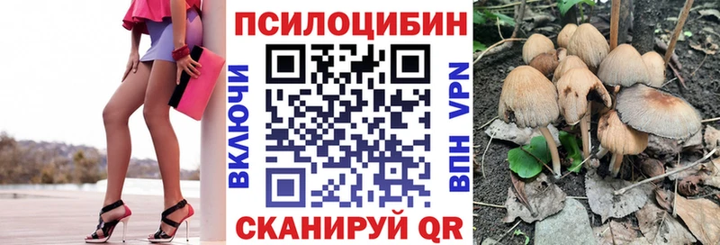 Псилоцибиновые грибы Psilocybe  где купить   это Telegram  Армянск 