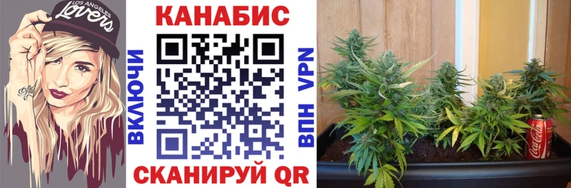 Шишки марихуана марихуана  Армянск 